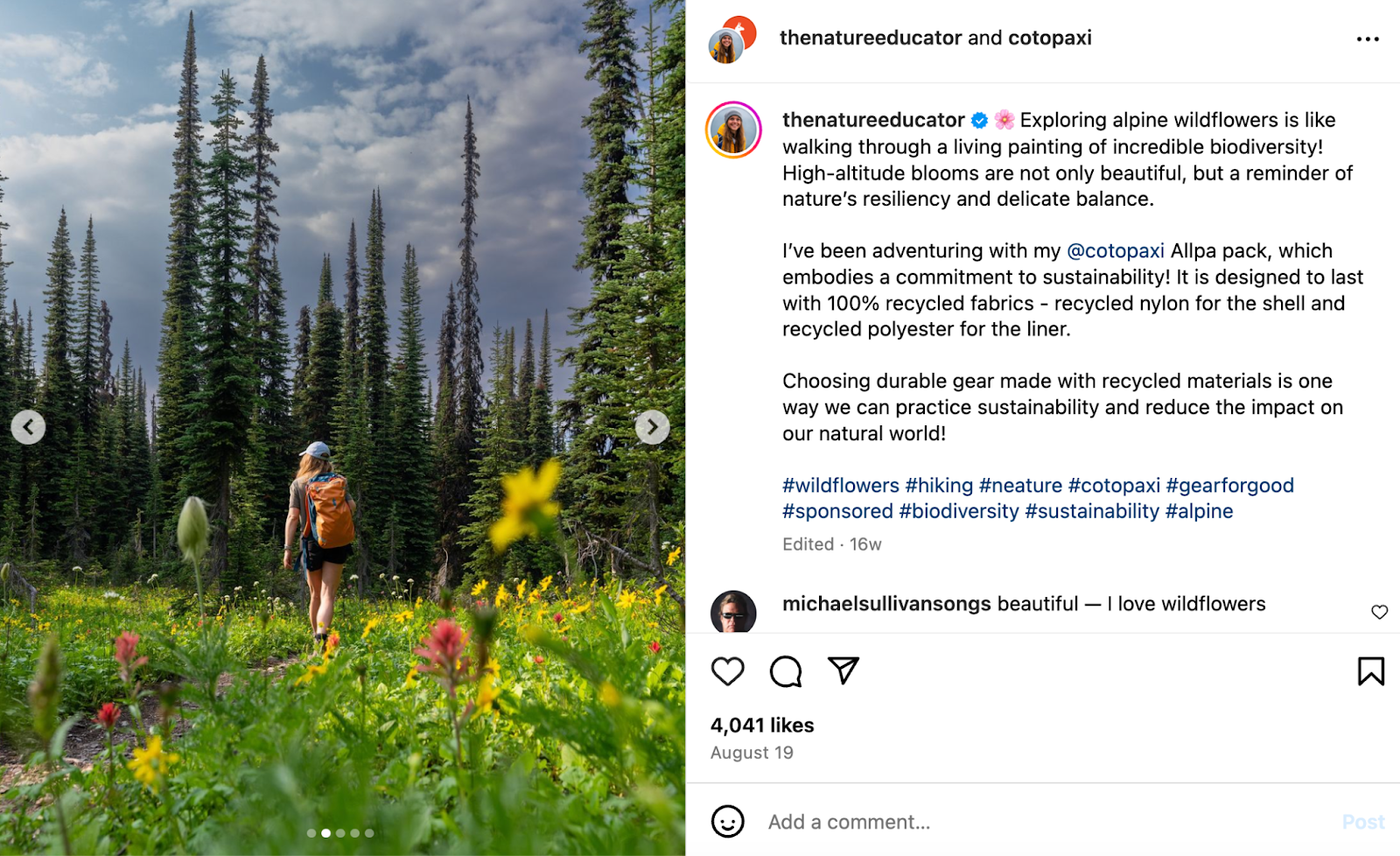 Rachael Tancock (The Nature Educator) walks through the forest with her Allpa pack in a partnership post with Cotopaxi.